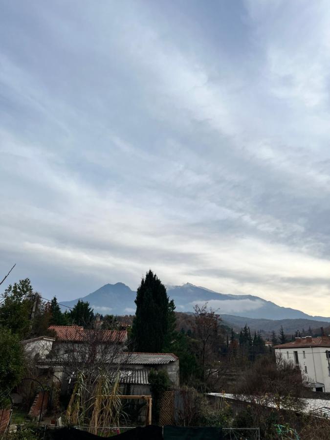 Le Cosy En Coeur De Ville Prades  Exterior photo